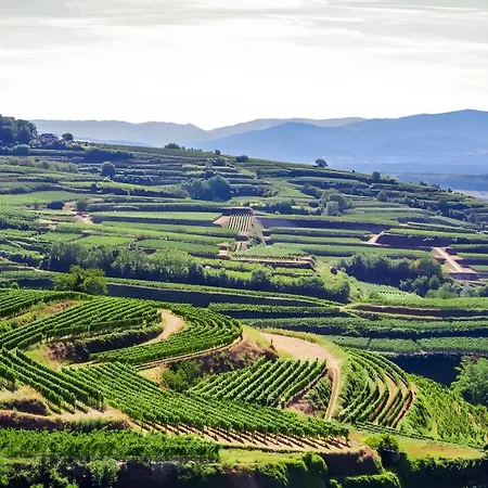 Haus Im Weinland - Ihringen